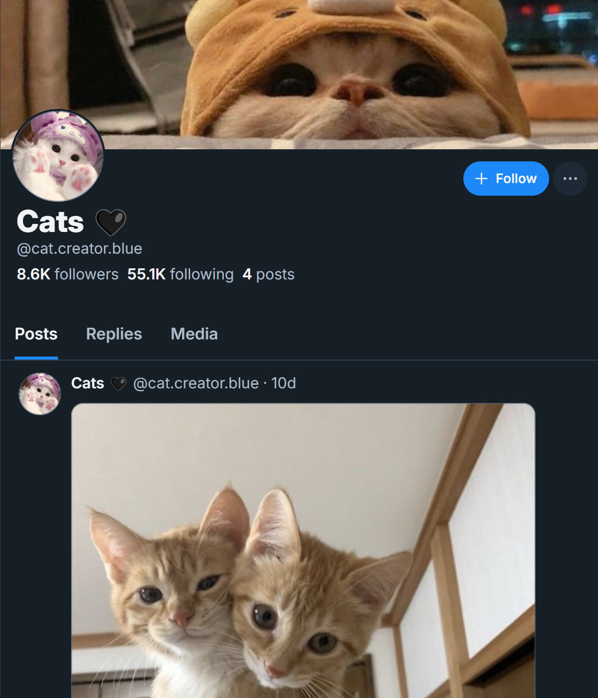 screenshot of mass following in action